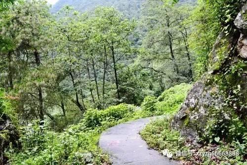 七夕送这个礼物会不会被说崇洋媚外？游戏画面