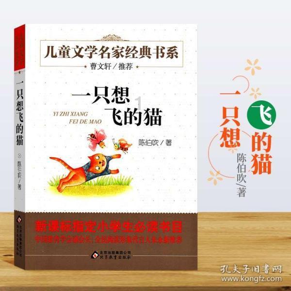 逃离整洁房屋