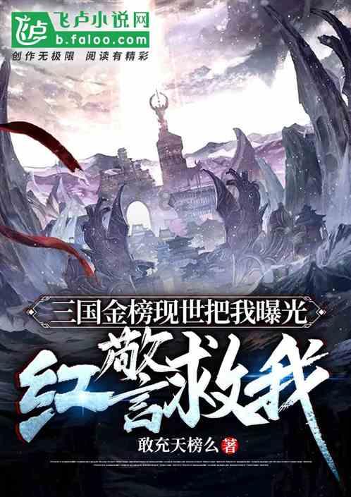 缅甸一军机在印度降落时滑出跑道 致8人受伤